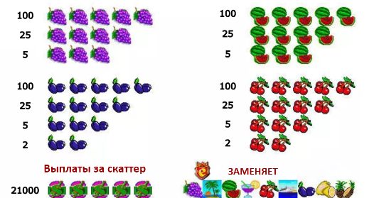 Управление игрой Slot-o-Pol Описание автомата Slot-o-Pol